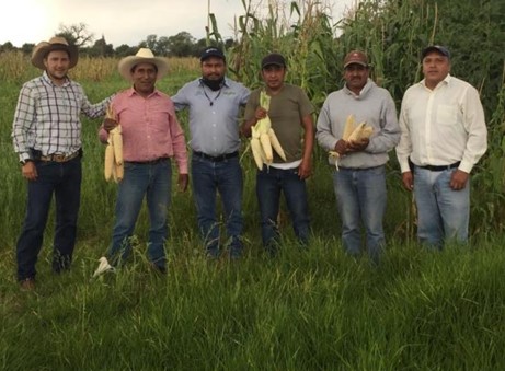 Cosecha y rendimiento